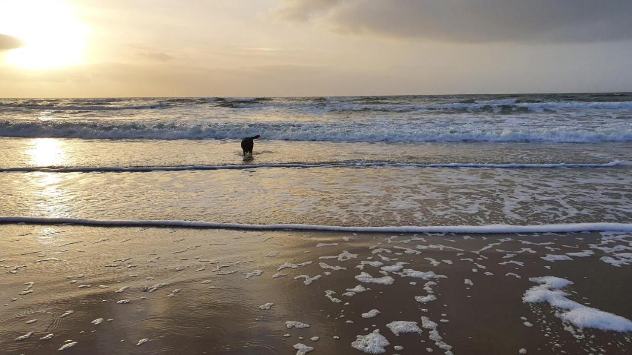 Luxe Vakantiebungalow Met Omheinde Tuin Voor Hond En Kinderen Dirkshorn Luaran gambar