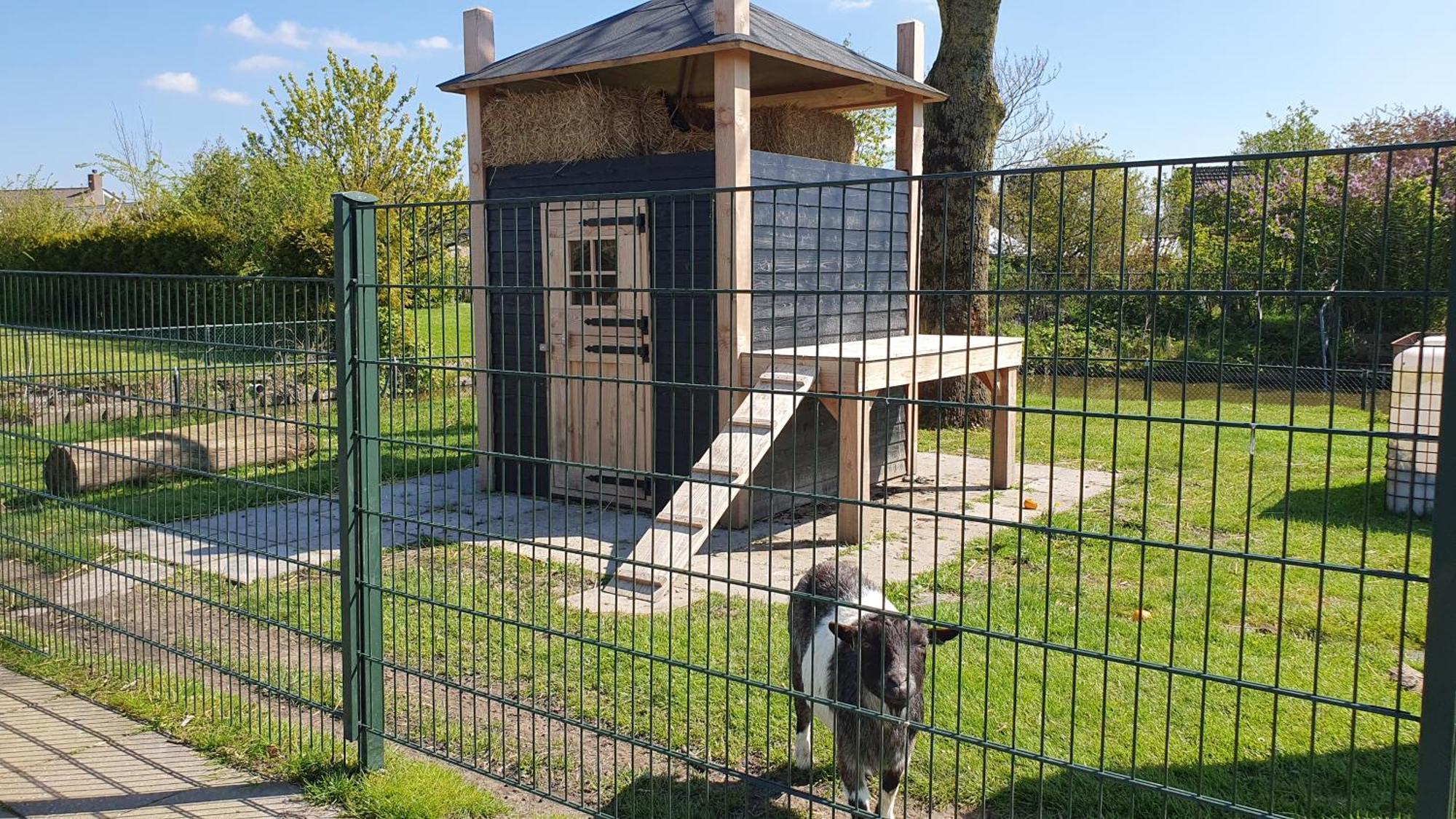 Luxe Vakantiebungalow Met Omheinde Tuin Voor Hond En Kinderen Dirkshorn Luaran gambar